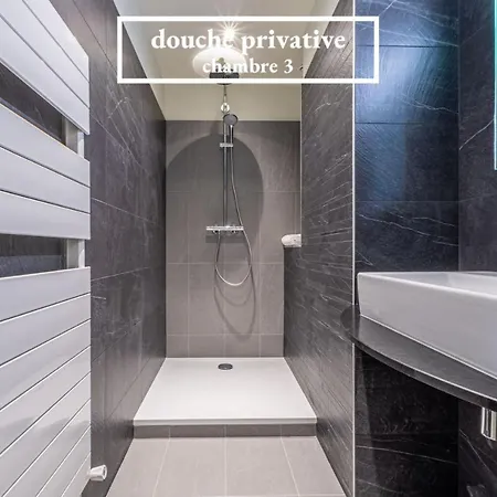 La Cour Doree Apartment Metz